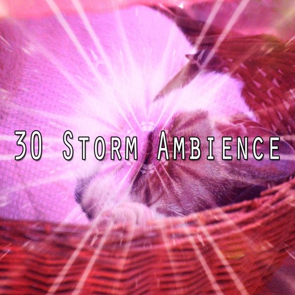Rain Sounds - 30 Storm Ambience Rain Sounds - 30 Storm Ambience