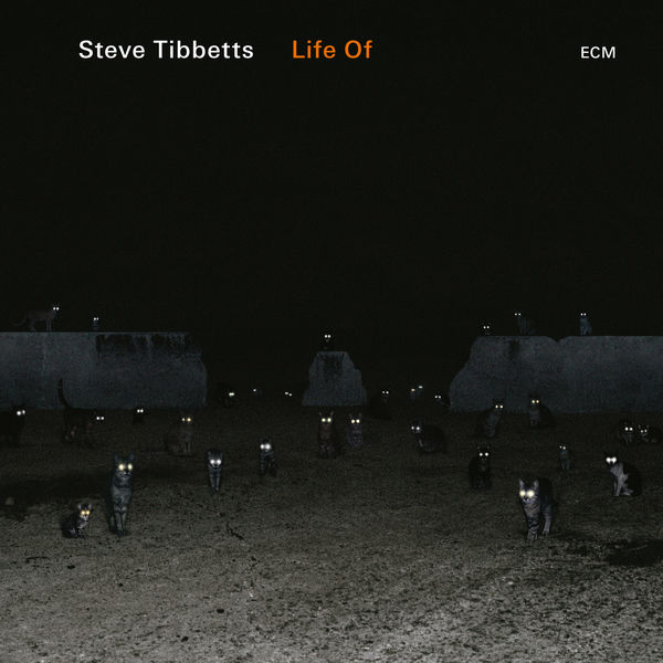 Steve Tibbetts|Life Of