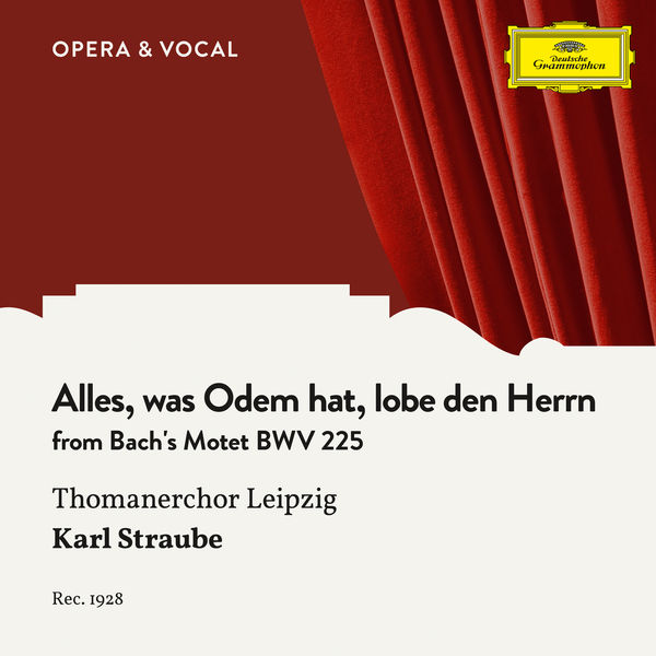 Thomanerchor Leipzig|Bach: Alles, was Odem hat, lobe den Herrn - Finale Fugue, BWV 225