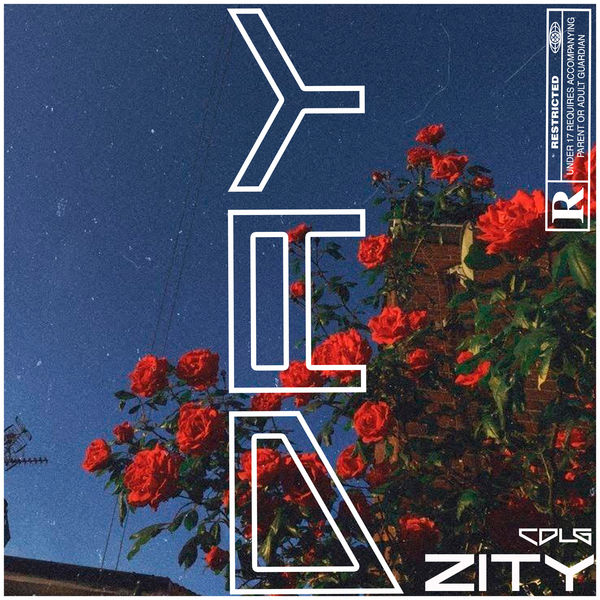 Zity - DAY Zity - DAY