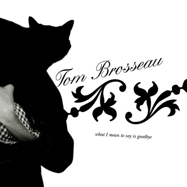 Tom Brosseau - What I Mean to Say is Goodbye Tom Brosseau - What I Mean to Say is Goodbye