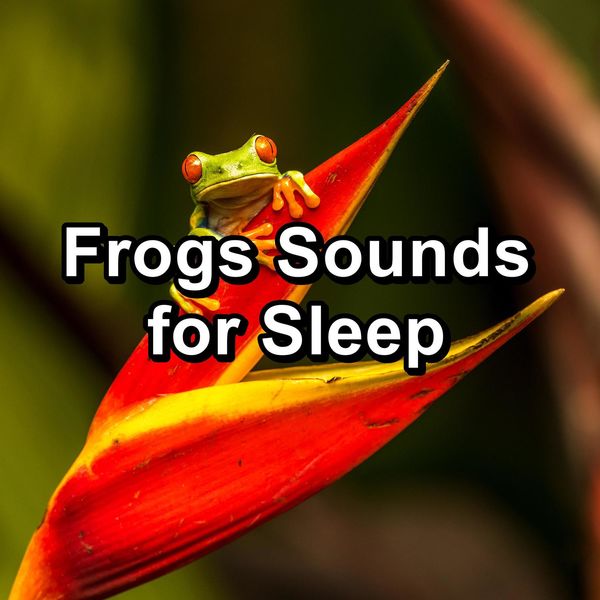 Frogs Sounds for Sleep, Frog Sounds Qobuz
