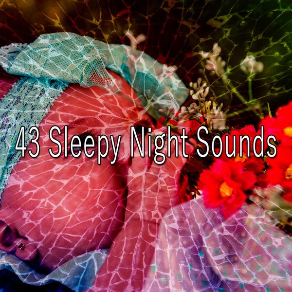 Calming Sounds - 43 Sleepy Night Sounds Calming Sounds - 43 Sleepy Night Sounds