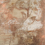 El Hardwick Process of Elimination