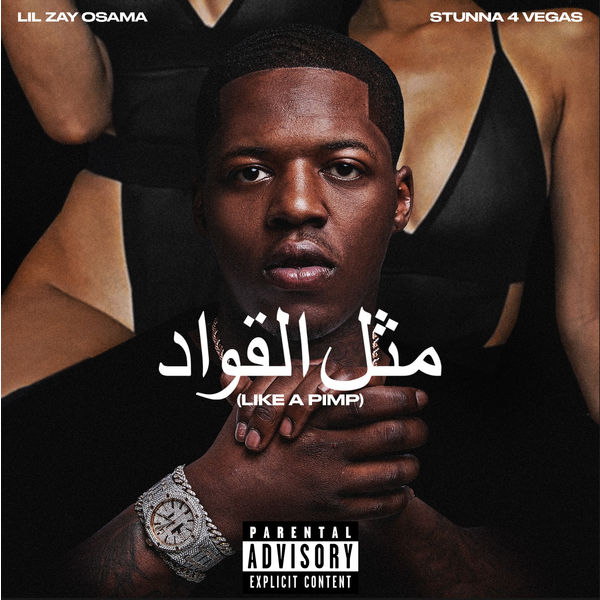 Lil Zay Osama - Like A Pimp (feat. Stunna 4 Vegas) Lil Zay Osama - Like A Pimp (feat. Stunna 4 Vegas)