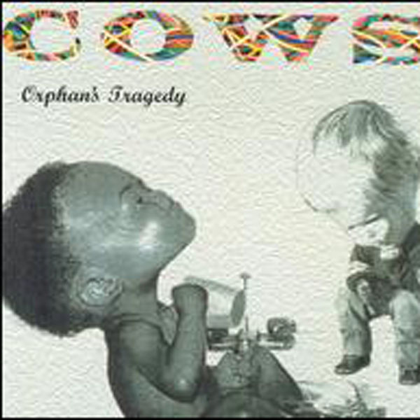 Cows|Orphan's Tragedy Cows|Orphan's Tragedy
