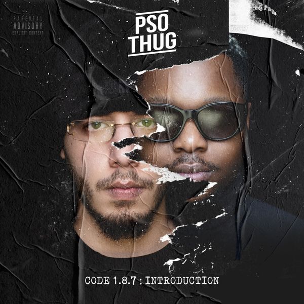 PSO THUG - Code 1.8.7 : Introduction PSO THUG - Code 1.8.7 : Introduction