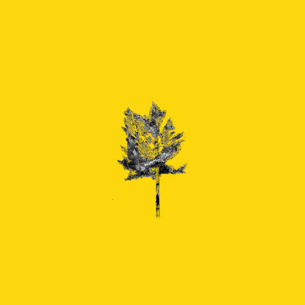 Conner Youngblood - a few extra tracks from Cheyenne Conner Youngblood - a few extra tracks from Cheyenne