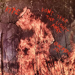 Kite Don't take the light away / Remember me