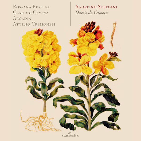 Rossana Bertini - Duetti da camera Rossana Bertini - Duetti da camera