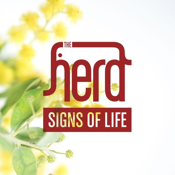 The Herd|Signs of Life The Herd|Signs of Life