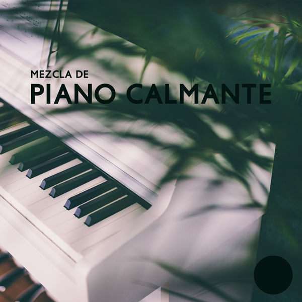 Academia de Música de Piano para Dormir|Mezcla de Piano Calmante: Música Relajante para Spa, Sueño, Alivio del Estrés y Meditación Academia de Música de Piano para Dormir|Mezcla de Piano Calmante: Música Relajante para Spa, Sueño, Alivio del Estrés y Meditación