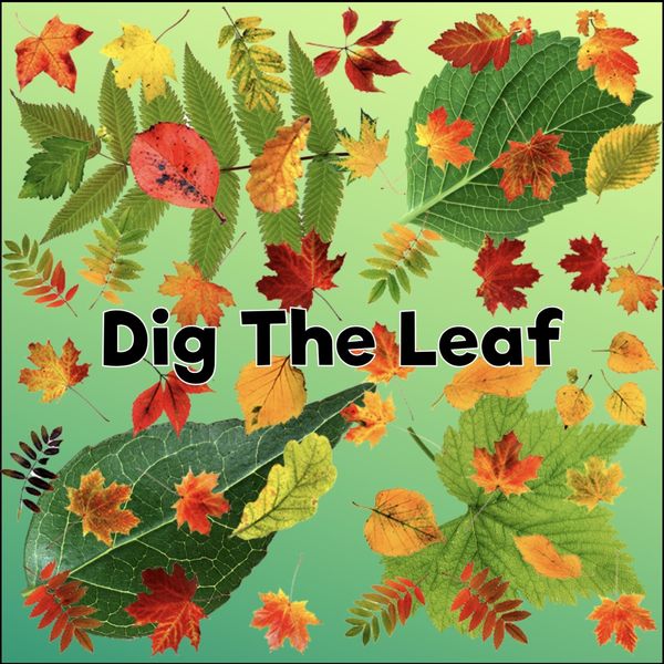 Dave Just|Dig the Leaf Dave Just|Dig the Leaf