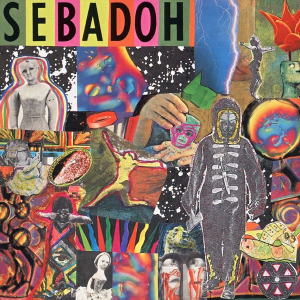 Sebadoh|Smash Your Head On The Punk Rock Sebadoh|Smash Your Head On The Punk Rock