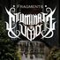 Illuminate The Void Fragments