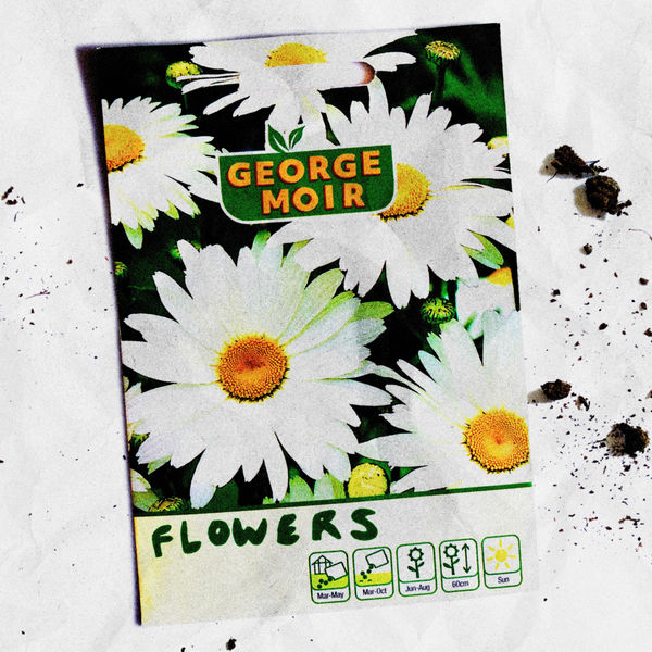 George Moir - Flowers George Moir - Flowers