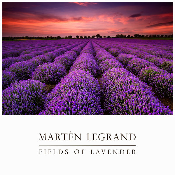 Martèn LeGrand - Fields Of Lavender Martèn LeGrand - Fields Of Lavender