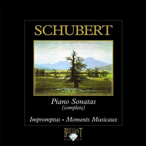 Schubert: Piano Sonatas (Complete), Franz Schubert by Various Artists ...