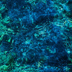 新品　限定カラーLP 青葉市子　Luminescent Creatures 青葉市子 Luminescent Creatures(初回限定カラー盤LP) - Online Shop