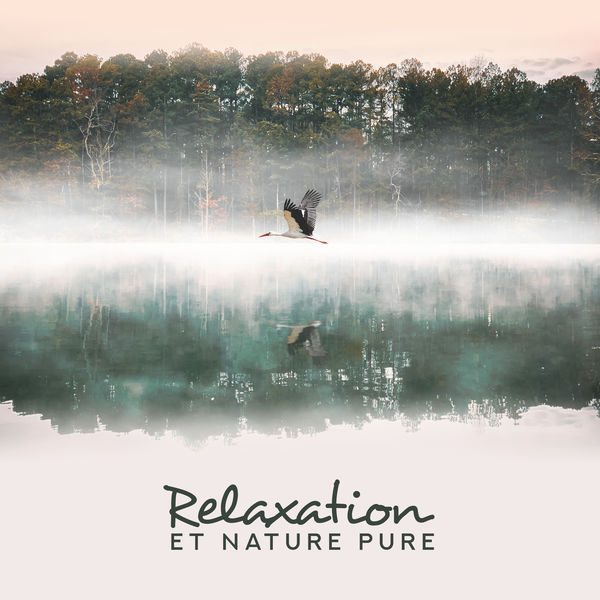 Album Relaxation et nature pure: Calme profond, Paix intérieure