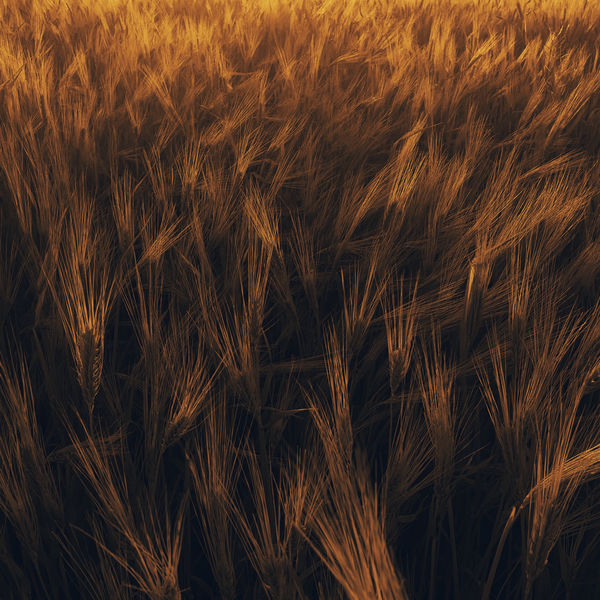 Nature Sounds - Learning How to Focus | Leave the Past Nature Sounds - Learning How to Focus | Leave the Past