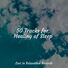 Lullaby Land 50 Tracks for Healing of Sleep