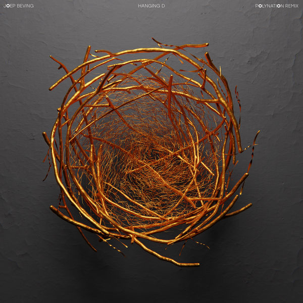 Joep Beving|Hanging D (Polynation Remix) Joep Beving|Hanging D (Polynation Remix)