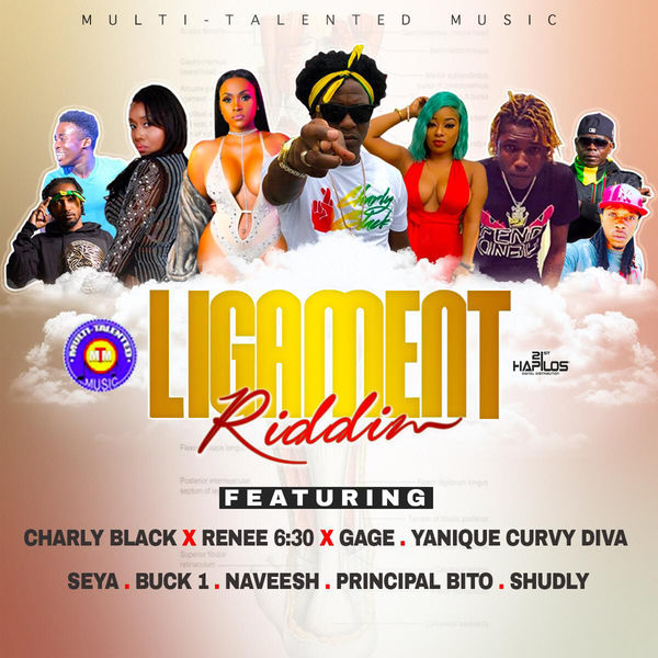 Various Artists|Ligament Riddim Various Artists|Ligament Riddim