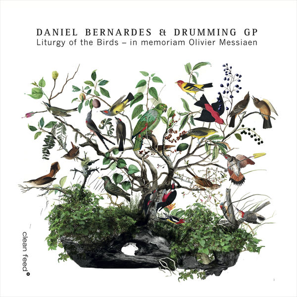 Daniel Bernardes - Liturgy of the Birds – in Memoriam Olivier Messiaen Daniel Bernardes - Liturgy of the Birds – in Memoriam Olivier Messiaen