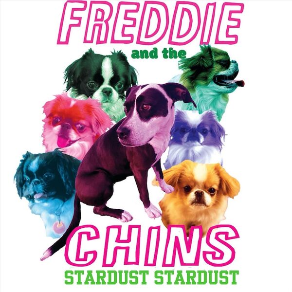 Freddie and the Chins|Stardust Stardust Freddie and the Chins|Stardust Stardust