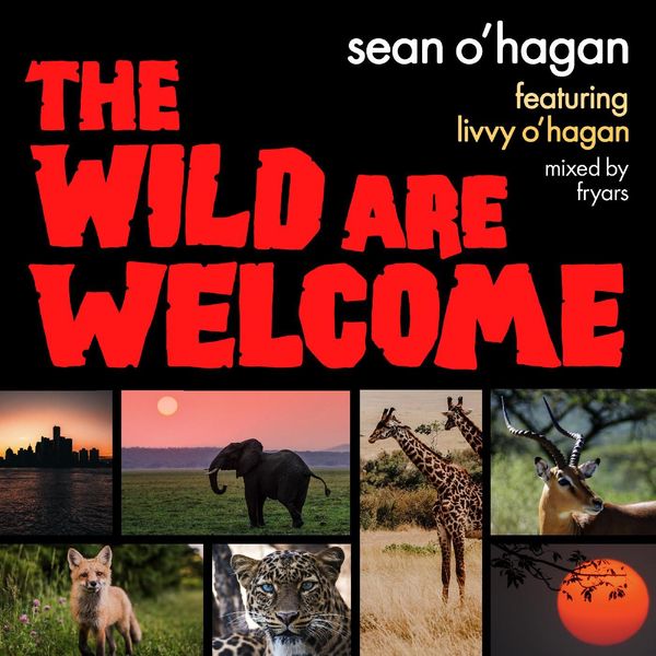 Sean O'Hagan - The Wild Are Welcome Sean O'Hagan - The Wild Are Welcome