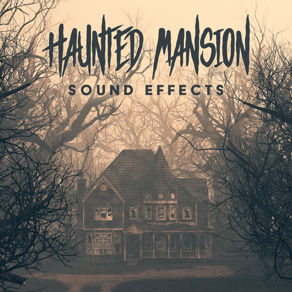 Haunted Mansion Sound Effects, The Haunted House of Horror Sound ...