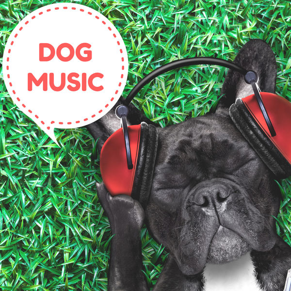 Dog Music - Dog Music – Relaxing Piano Pet Therapy with Soothing Nature Sounds Music Dog Music - Dog Music – Relaxing Piano Pet Therapy with Soothing Nature Sounds Music