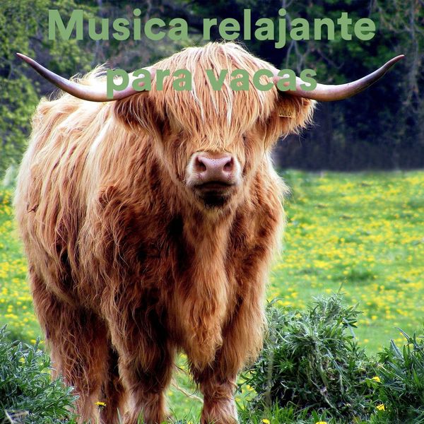Various Artists - Musica Relajante Para Vacas Various Artists - Musica Relajante Para Vacas