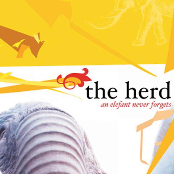 The Herd|An Elefant Never Forgets The Herd|An Elefant Never Forgets