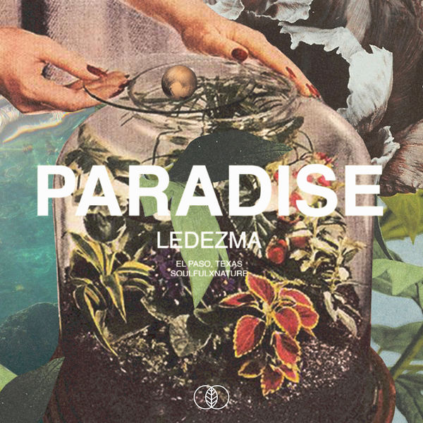 Ledezma - Paradise Ledezma - Paradise