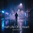 Suhail Ahmad Half Life Of A Heart
