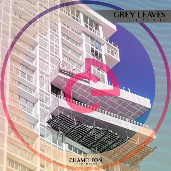 Stefan Rees Grey Leaves, Stefan Rees - Qobuz