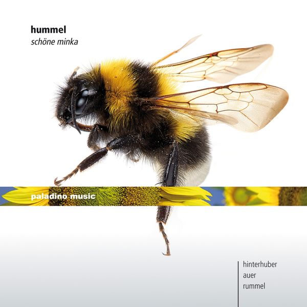 Christopher Hinterhuber - Hummel: Schöne Minka Christopher Hinterhuber - Hummel: Schöne Minka
