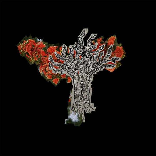 Jiubel|Orange Trees Jiubel|Orange Trees