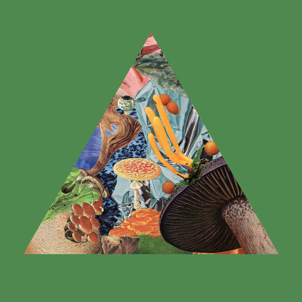 Modest Mouse|Poison the Well Modest Mouse|Poison the Well