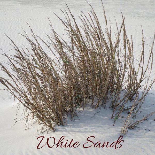 Guevara Goo|White Sands