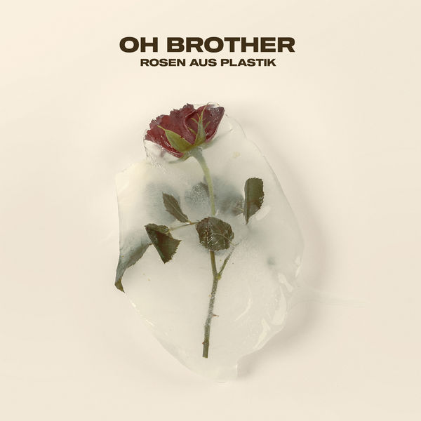 Oh Brother - Rosen aus Plastik Oh Brother - Rosen aus Plastik