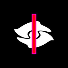IIcons cover