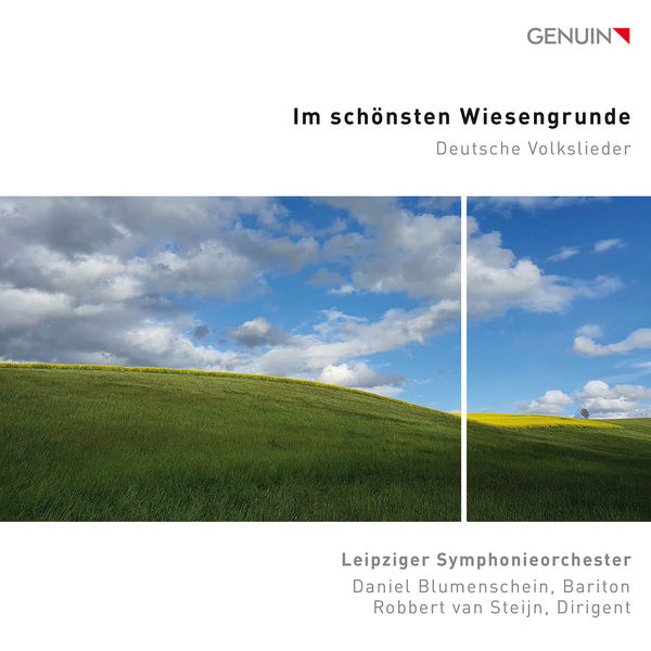Daniel Blumenschein|Im schönsten Wiesengrunde Daniel Blumenschein|Im schönsten Wiesengrunde