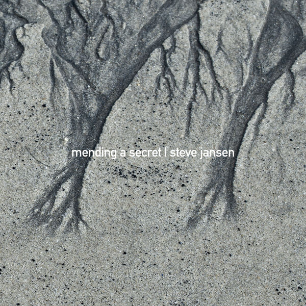 Steve Jansen - Mending a Secret Steve Jansen - Mending a Secret