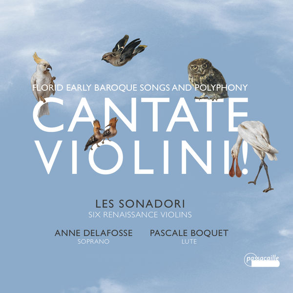 Various Composers - Florid Early Baroque Songs and Polyphony: Cantate Violini Various Composers - Florid Early Baroque Songs and Polyphony: Cantate Violini