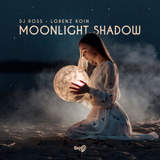 洋楽 SABRIN ROSES MOONLIGHT SHADOW Sabrin Roses - Moonlight Shadow (12'') - FATMAN RECORDS