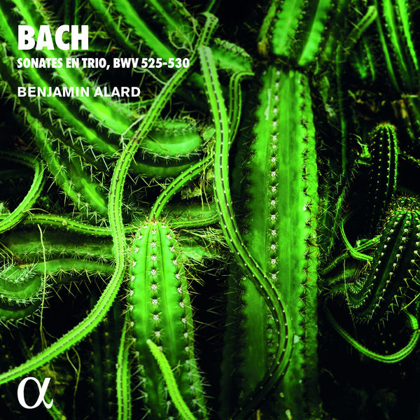 Benjamin Alard|Bach: Sonates en trio, BWV 525-530 (Alpha Collection) Benjamin Alard|Bach: Sonates en trio, BWV 525-530 (Alpha Collection)