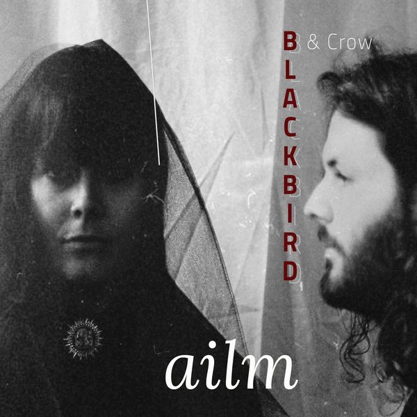 Blackbird & Crow|Ailm Blackbird & Crow|Ailm